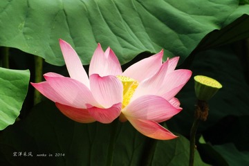 DSCF1144_