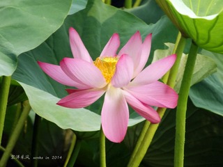 DSCF1185_