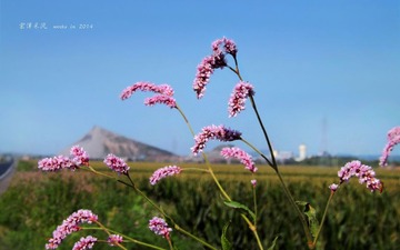 DSCF1422_