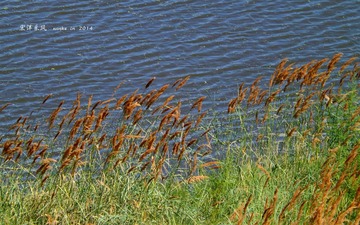DSCF1443_