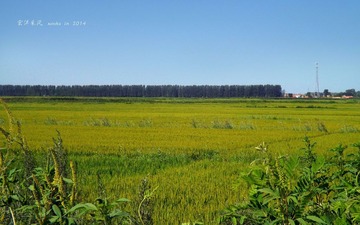DSCF1432_