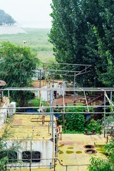 3642496
