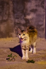 20160731-IMGP0463