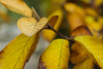 20161107-IMGP1429