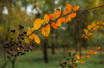 20161107-IMGP1416