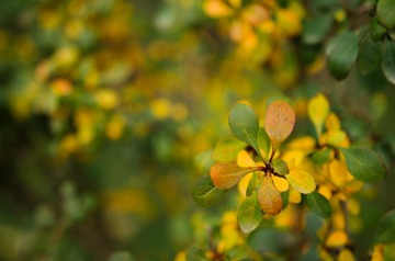 20161107-IMGP1399