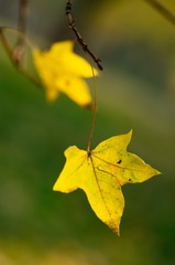 20161113-IMGP1706