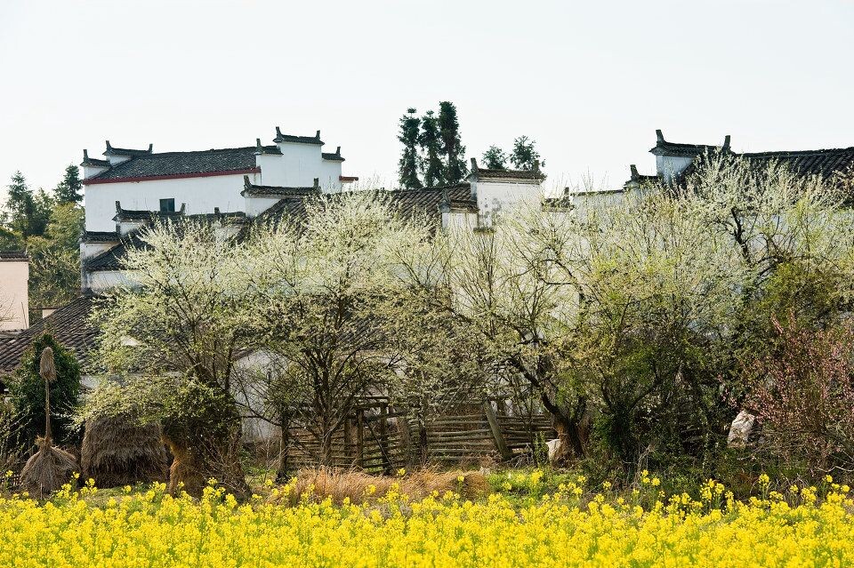 “_DSC6767”为智能对象-1<br />
鲜花环抱的村庄。