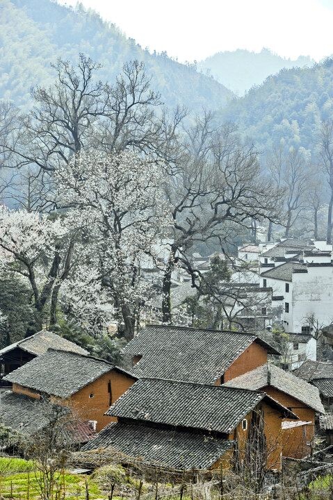 “_DSC6948”为智能对象-1<br />
传统的泥瓦房。