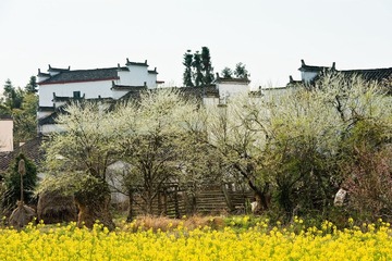 “_DSC6767”为智能对象-1