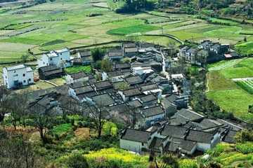 “_DSC6837”为智能对象-1