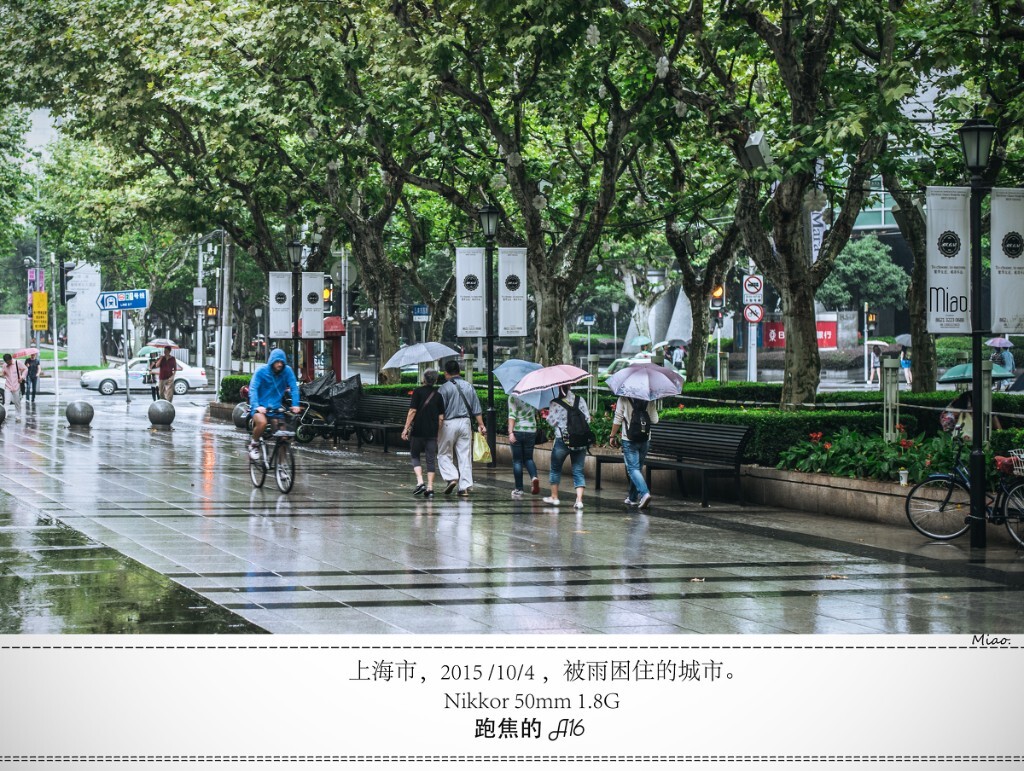   被雨困住的城市，又是这样漫长而灰蒙蒙的冬季——我们的爱，恨，感动，伤怀。