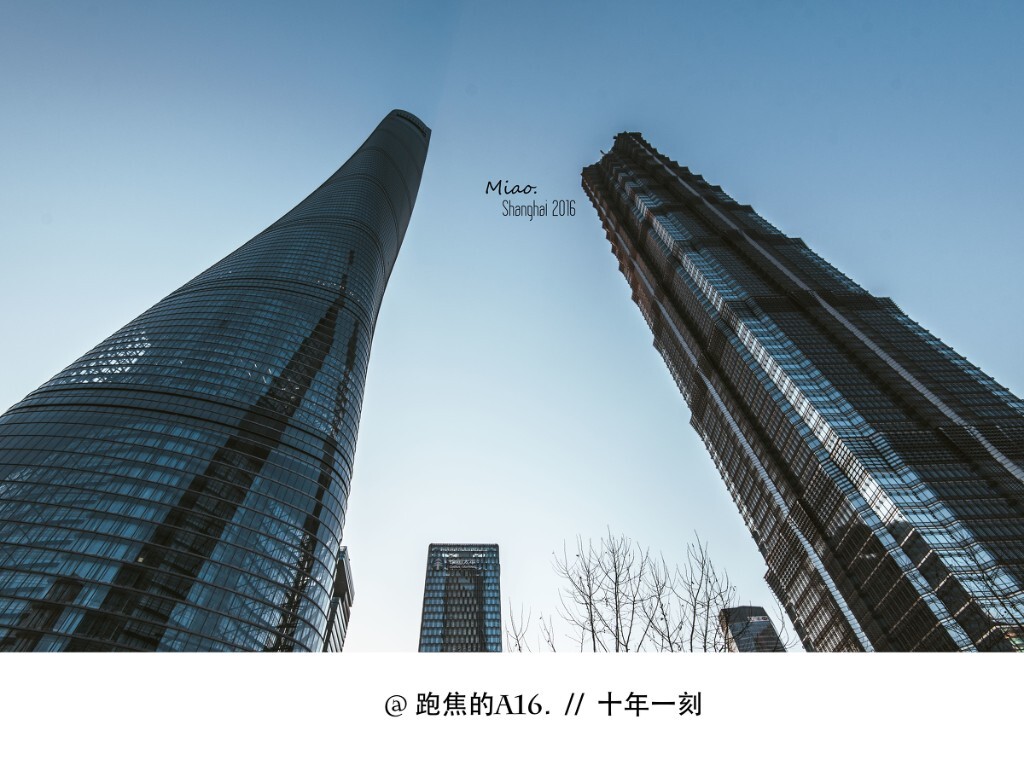   永远表白不完的上海，这里的春天和秋天一样短 -