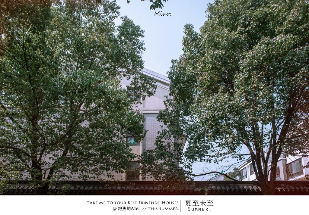  夏至未至。