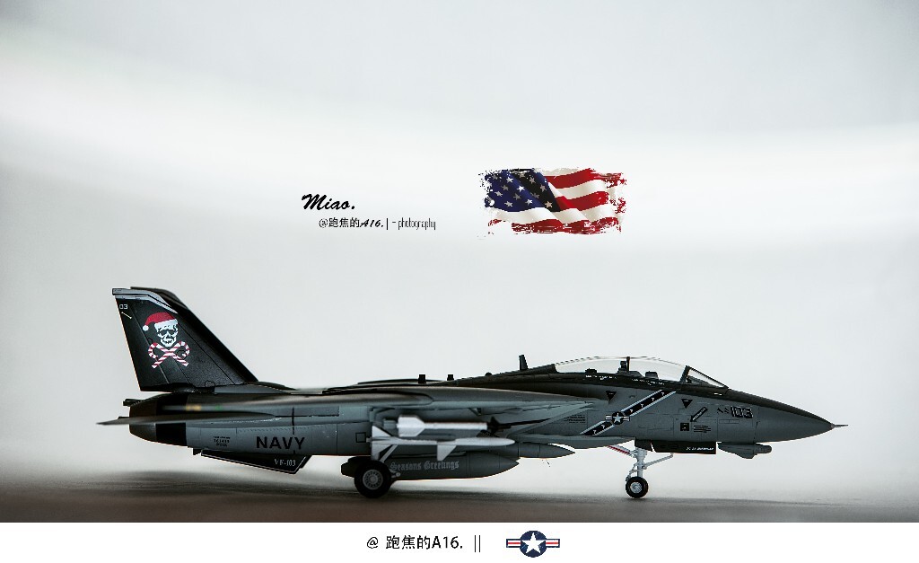   美国海军 F-14D 圣诞节涂装 / 大猫美如画！ -