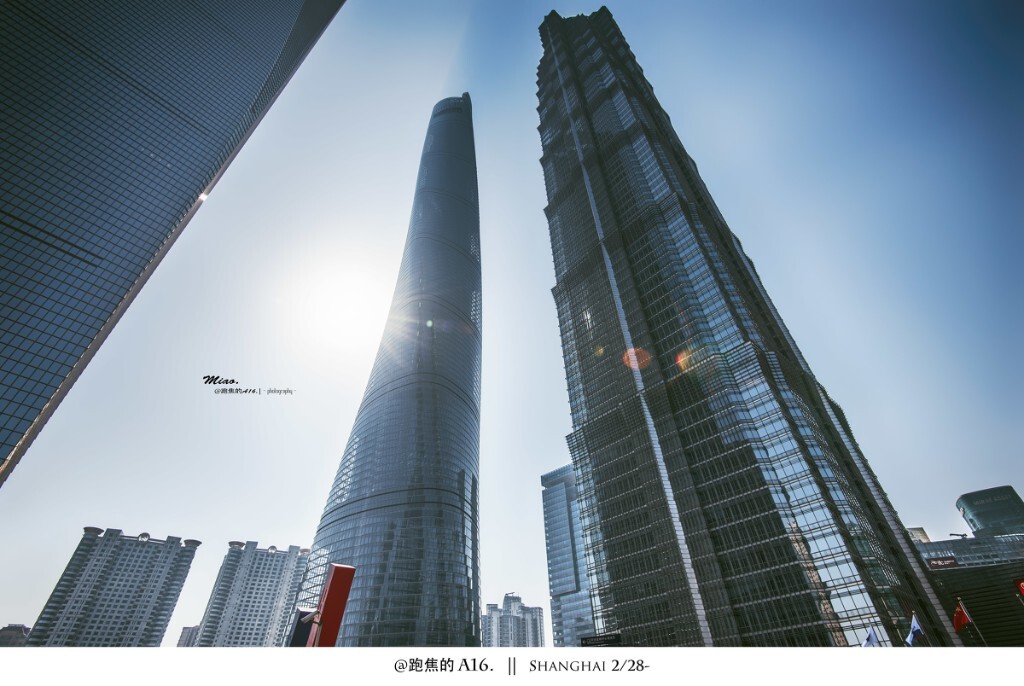   永远表白不完的上海，这里的春天和秋天一样短 -
