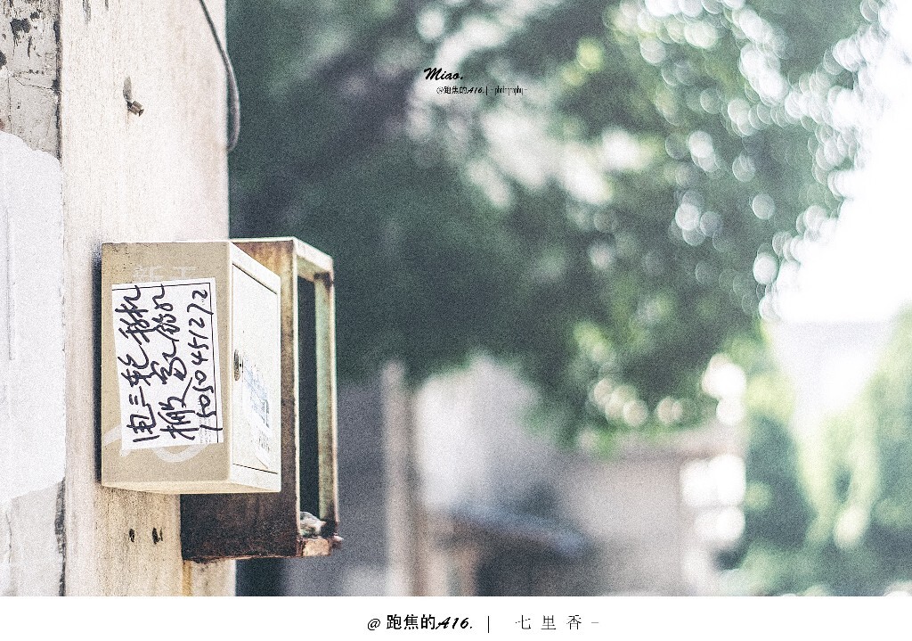  秋刀鱼的滋味，猫跟你都想了解 -<br />
<br />
  对数码机身上胶片调色的理解只到这步，2015/6/5 宾得