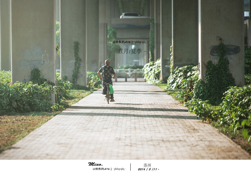     那几周放学后忙着外拍，某天临近黄昏 遇到回家的他们 ./ 200mm f3.2<br />
<br />
    笑吟吟 声缓缓，尽头前的路暖暖。 -  