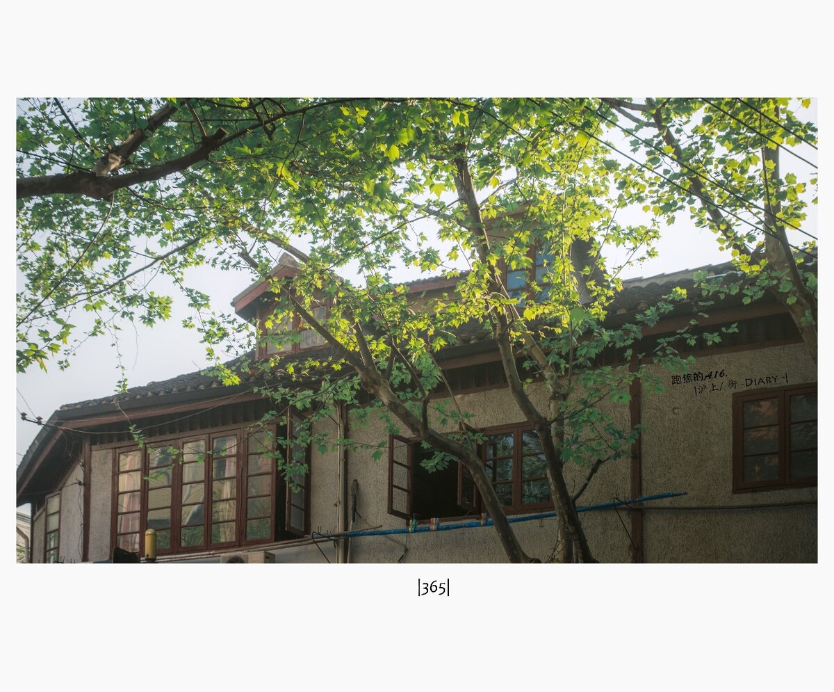     | 365日碎片 |  生命蔓延城市 -