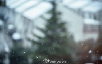 哦你，雪白的你