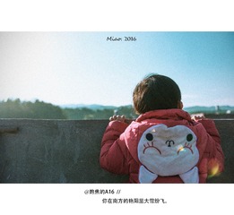 南山南