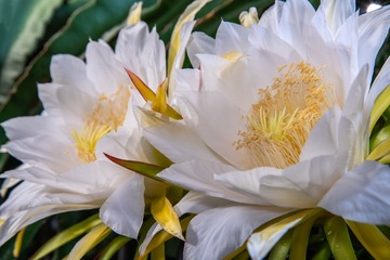DSC08814 拷贝