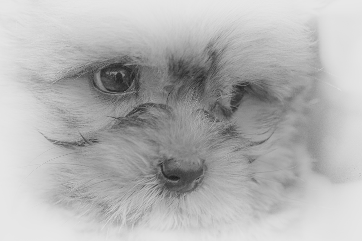 我就是喜欢你现在的样子