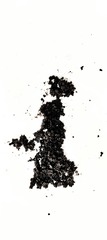 1000041740