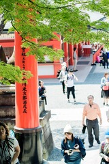 _DSC4158Web
