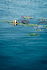 _DSC5286Web