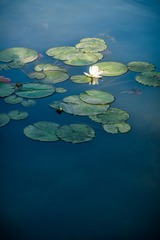 _DSC5296Web