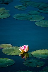 _DSC5309Web
