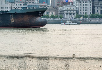 _DSC5438Web