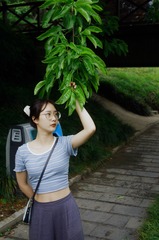 1120903