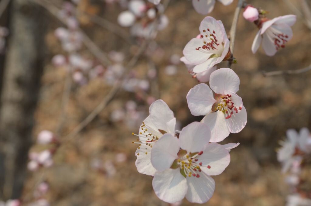 f/11，1/640s ， ISO  500