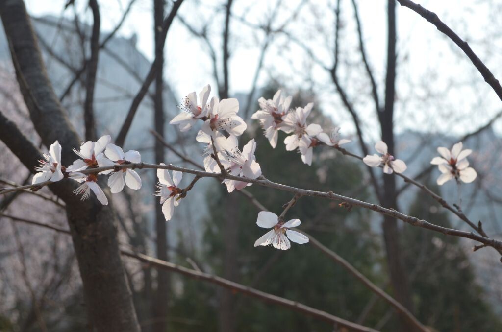 f/8，1/1000s ， ISO  400
