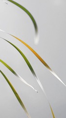 IMG_5633_缩小大小.jpg