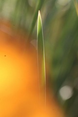 IMG_5997-1.jpg