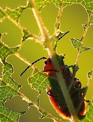 IMG_6068.jpg