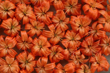 IMG_0849.JPG