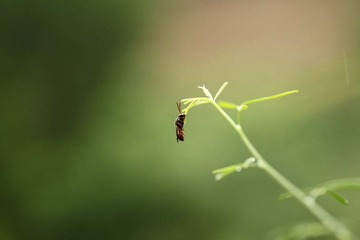_MG_2674.JPG