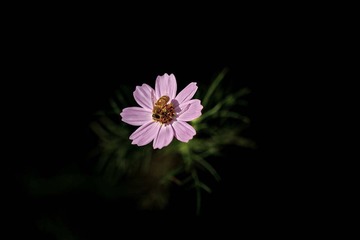 _MG_4977-2