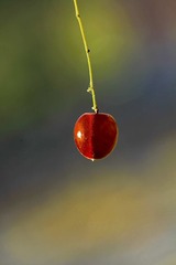 _MG_5391-2