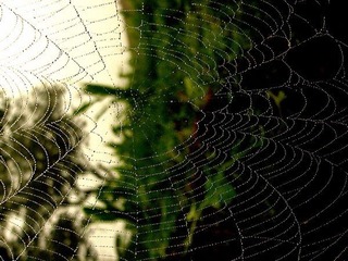 空網