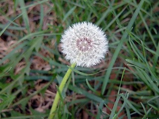 20074913132812