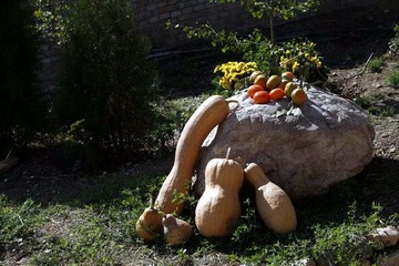 20071014113341623