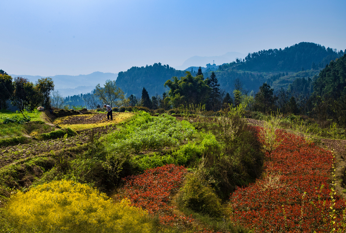 这是重庆市綦江区三角镇的贫困村中坝村这里的风景美如画