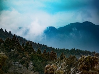 A0162661