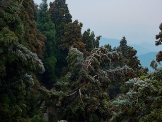 A0162653