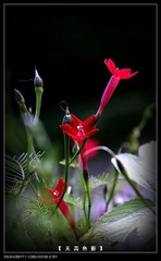 DSC00048-000
